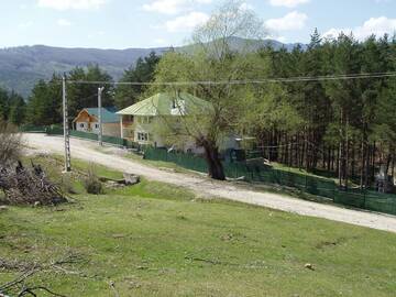 Фотографии Гостевой дом Villa Doina Ecotour г. Мороэни (Румыния) №1 Фото Гостевой дом Villa Doina Ecotour г. Мороэни 1